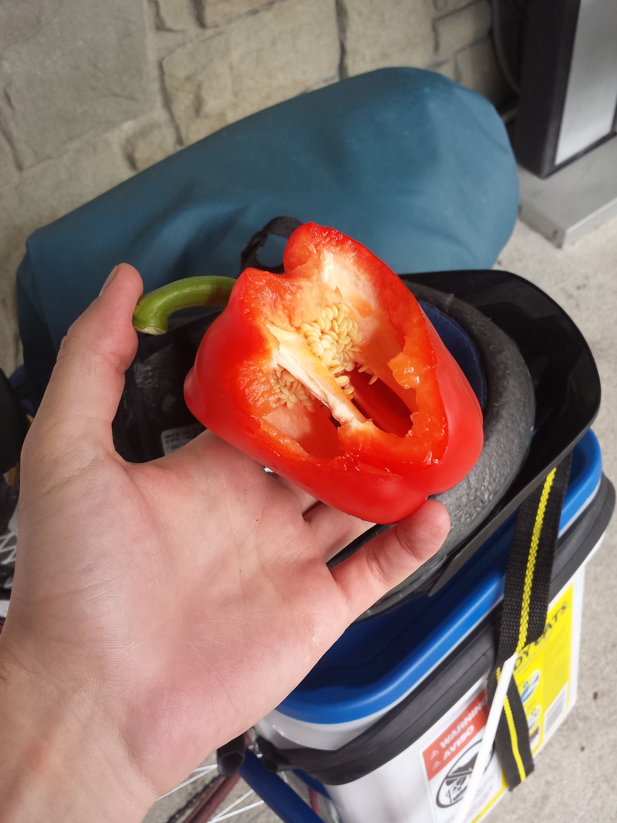 Seattle to San Francisco cycle tour, photo 29|320