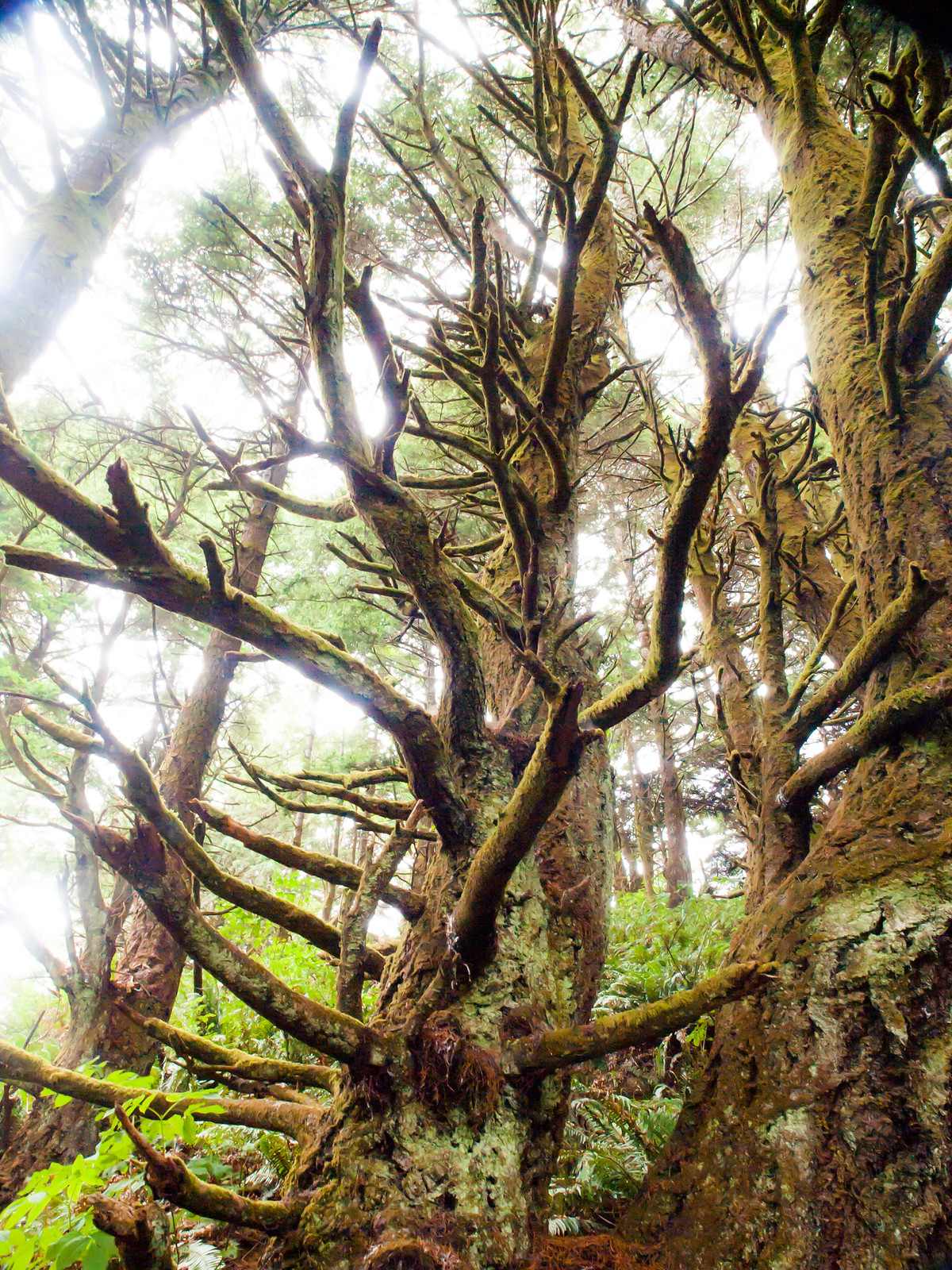 Seattle to San Francisco cycle tour, photo 93|320