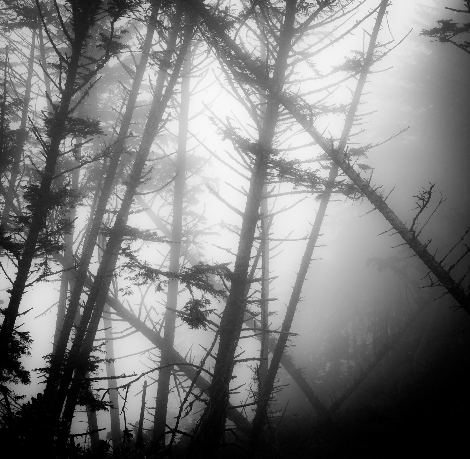Seattle to San Francisco cycle tour, photo 99|320