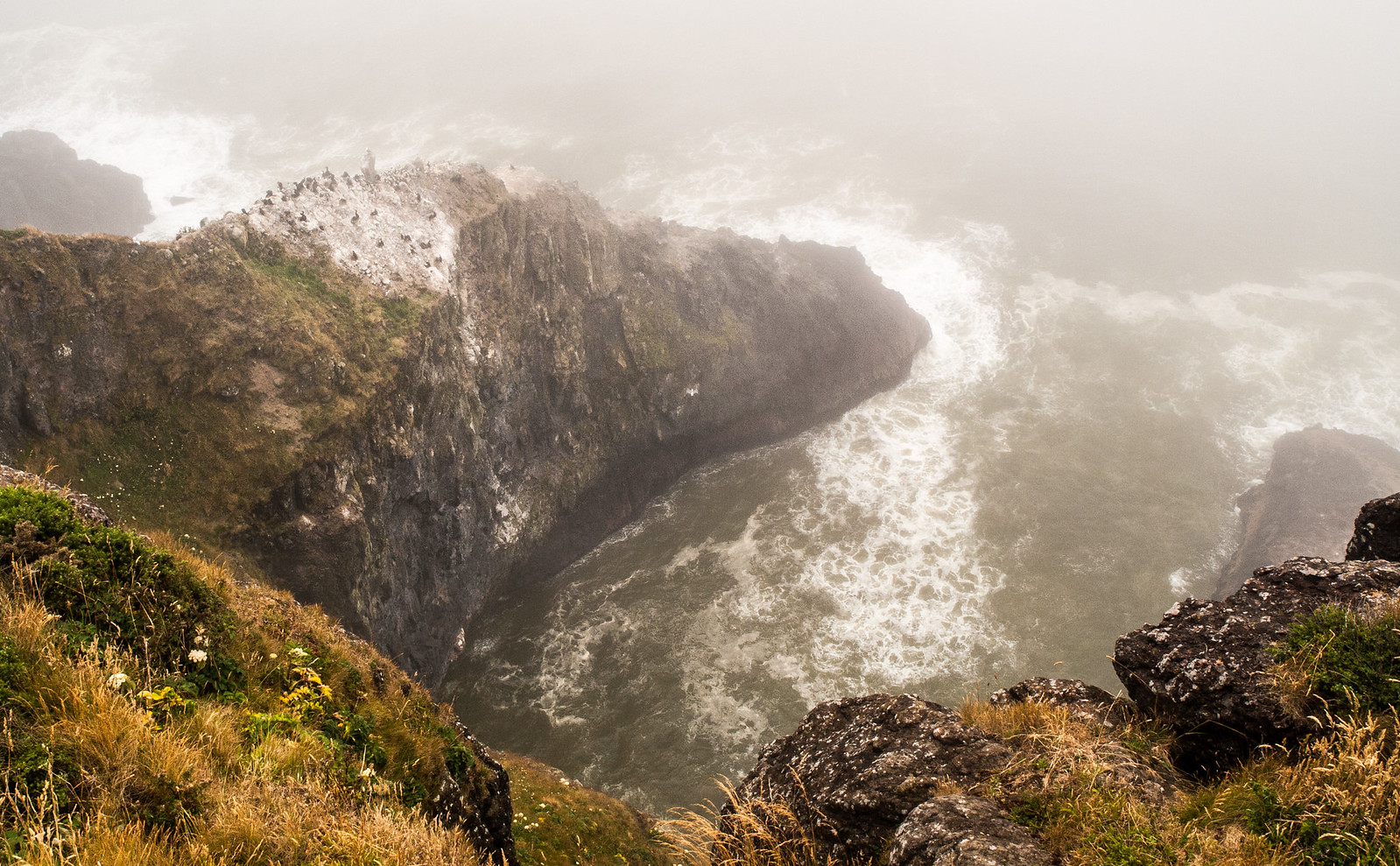 Seattle to San Francisco cycle tour, photo 127|320