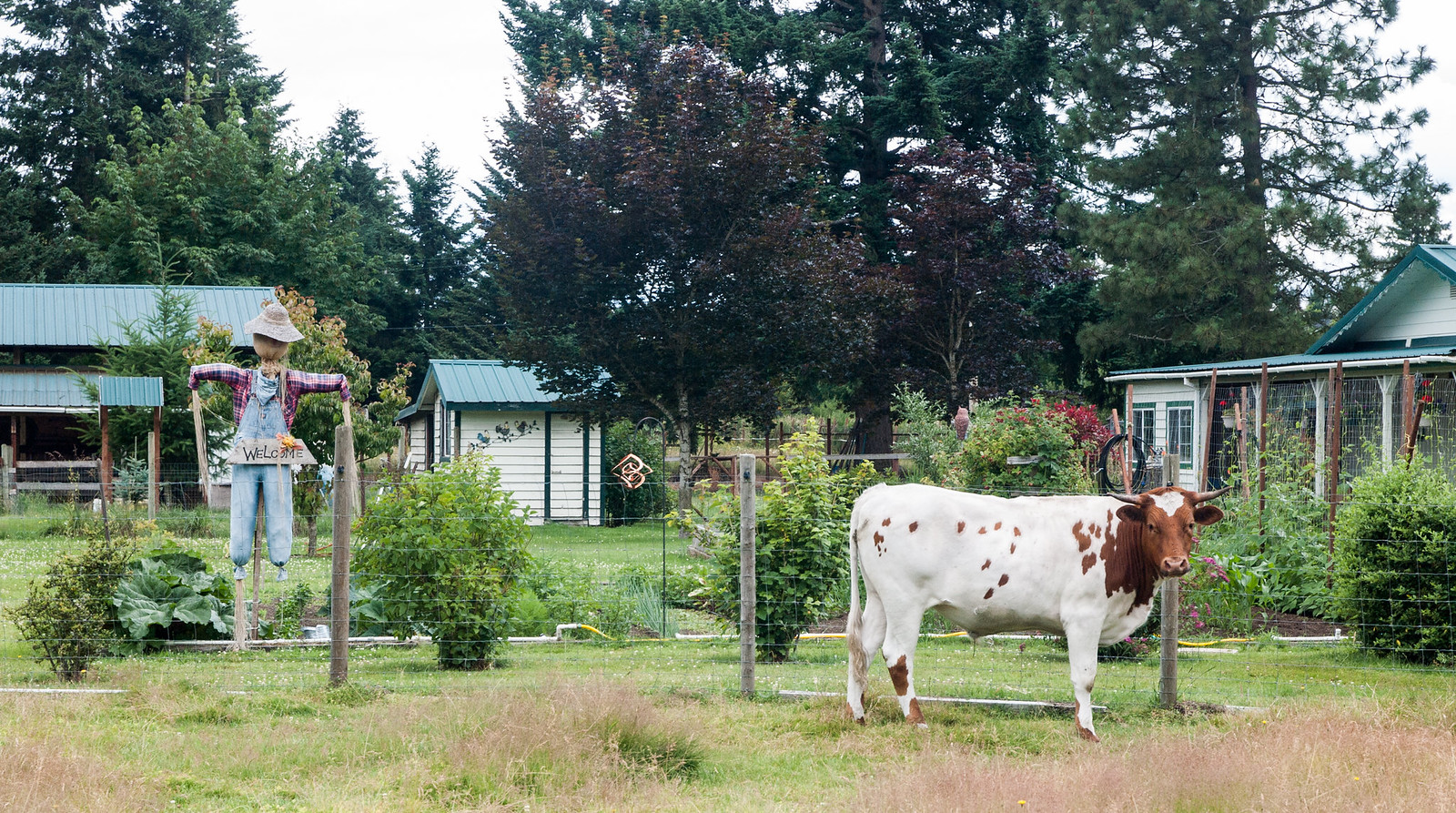 Seattle to San Francisco cycle tour, photo 107|320