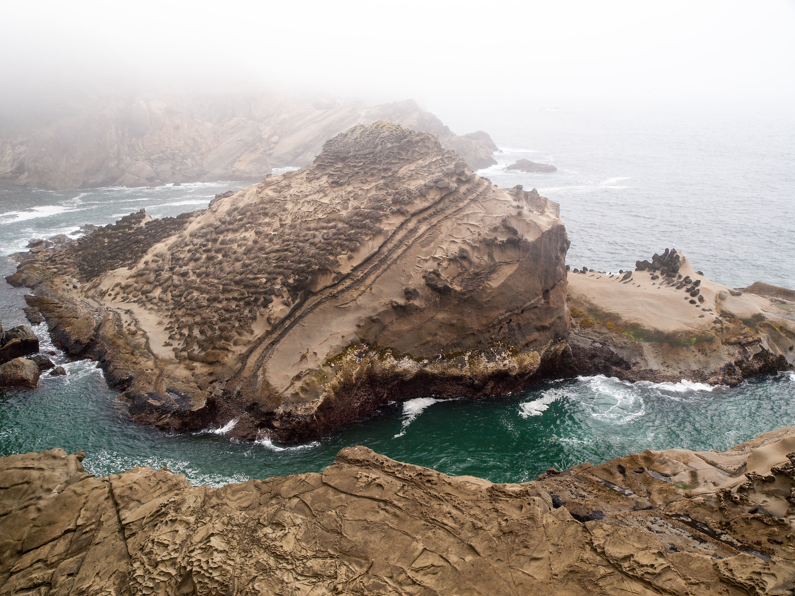 Seattle to San Francisco cycle tour, photo 143|320