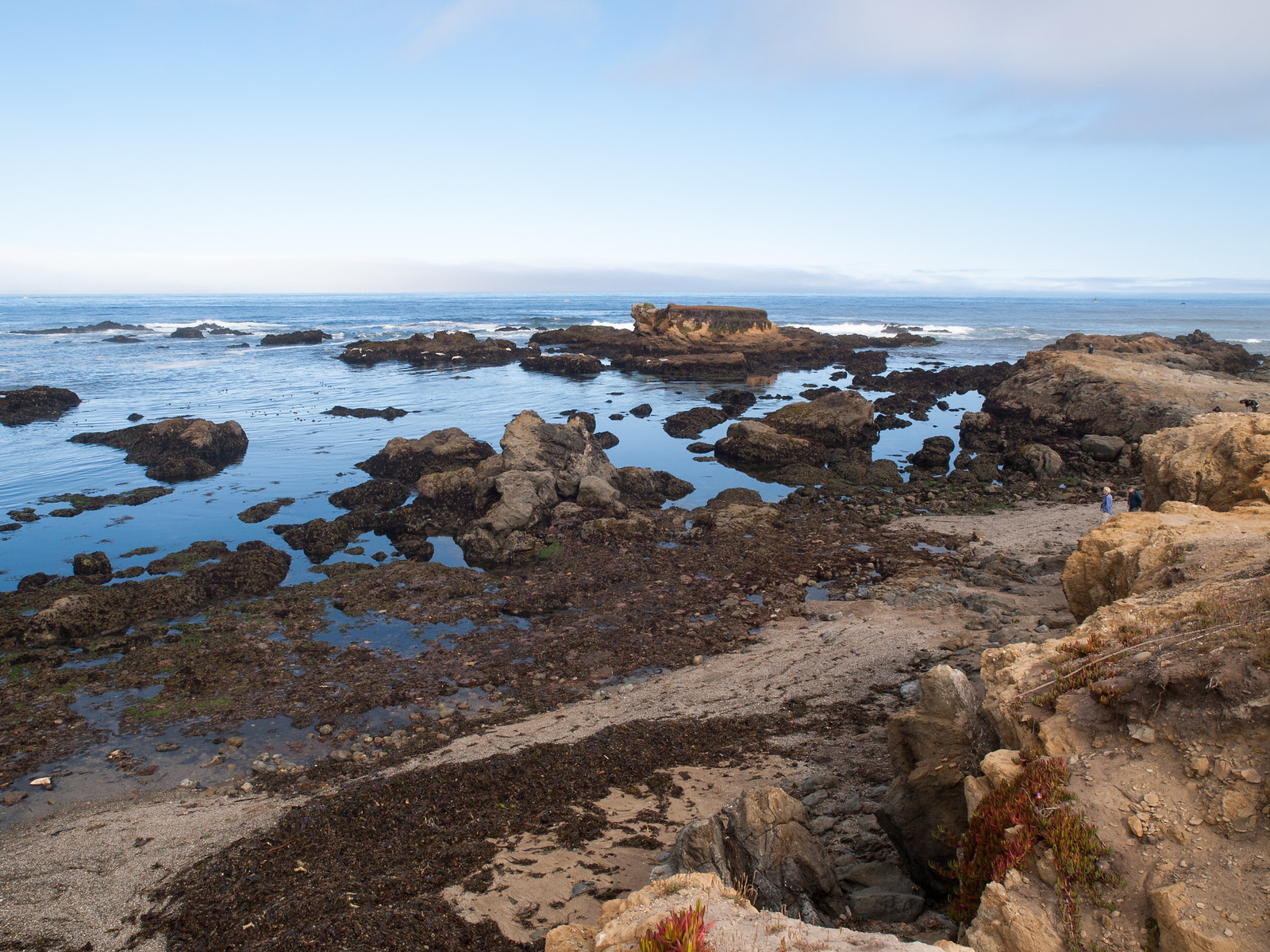 Seattle to San Francisco cycle tour, photo 139|320