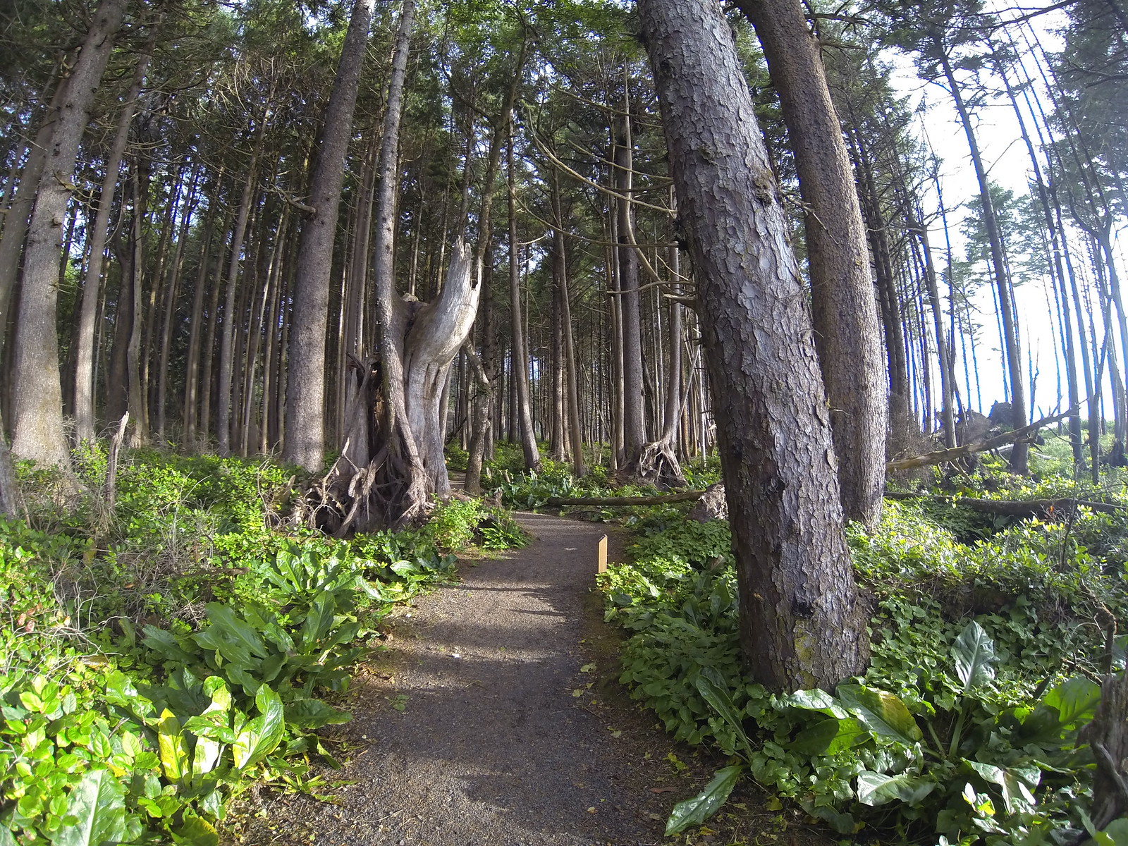 Seattle to San Francisco cycle tour, photo 46|320