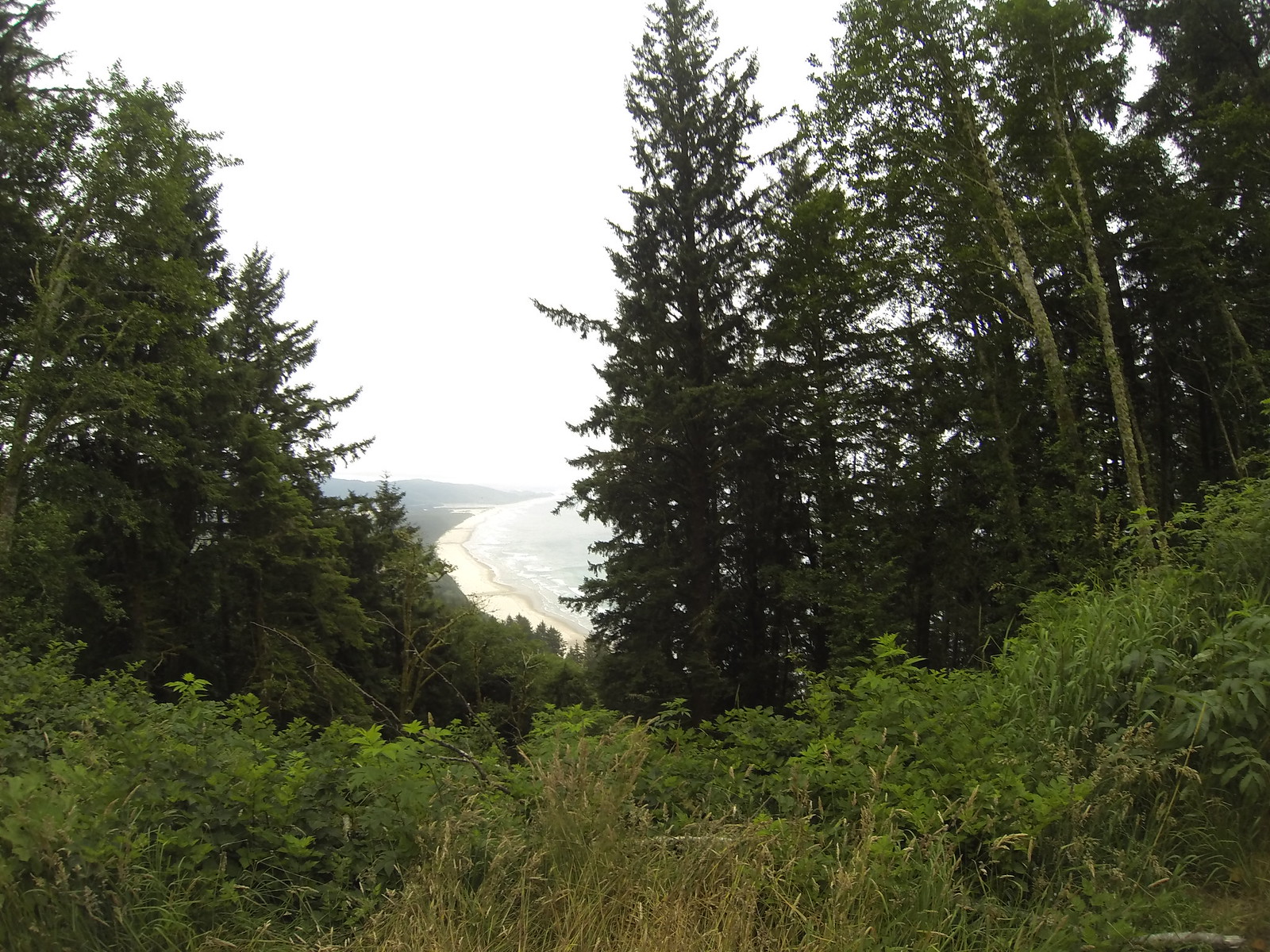 Seattle to San Francisco cycle tour, photo 48|320