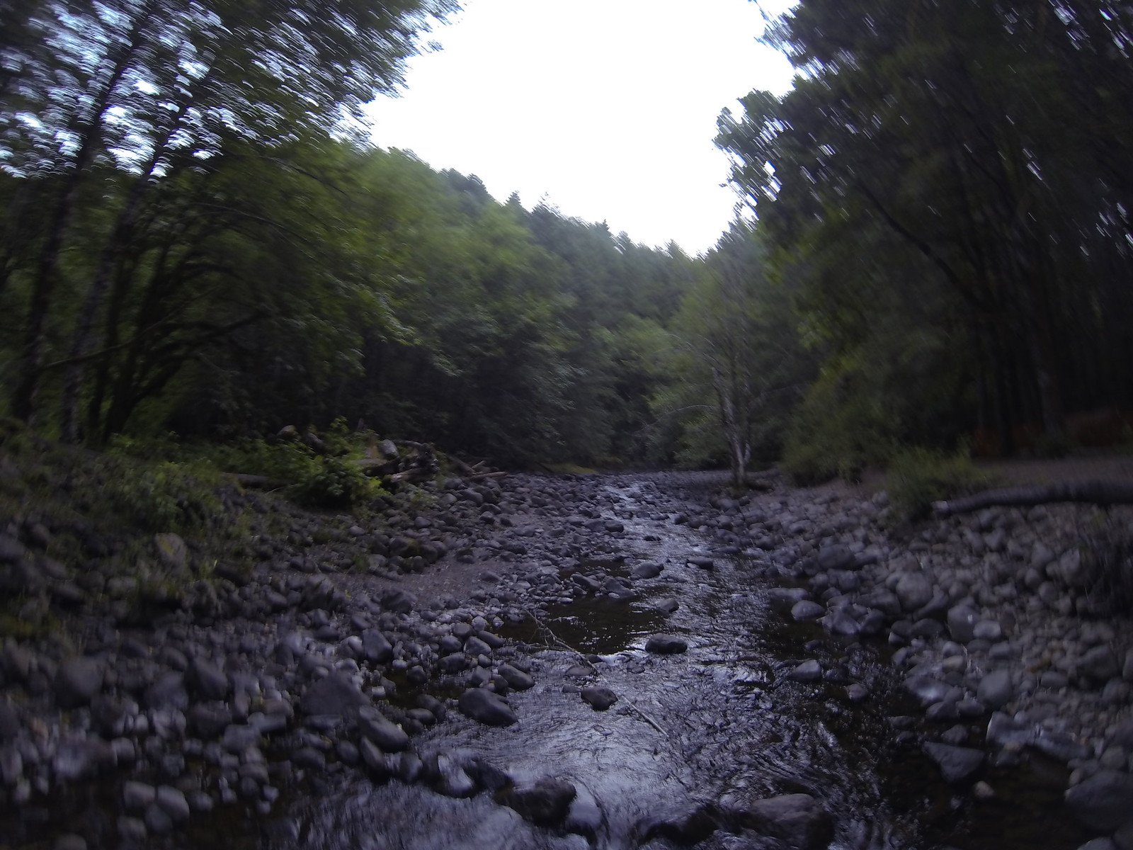Seattle to San Francisco cycle tour, photo 41|320