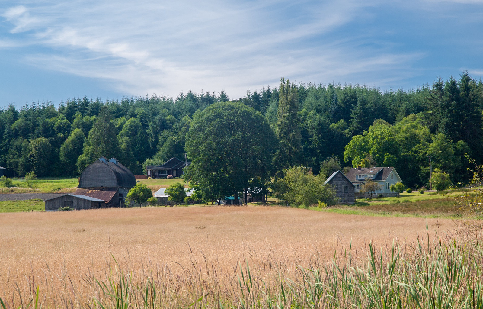Seattle to San Francisco cycle tour, photo 64|320