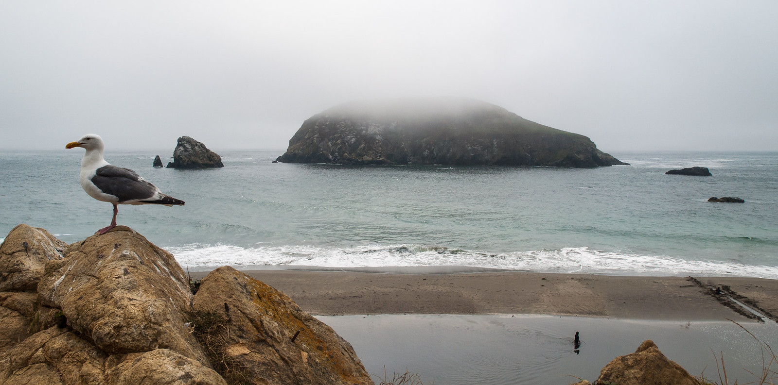 Seattle to San Francisco cycle tour, photo 94|320