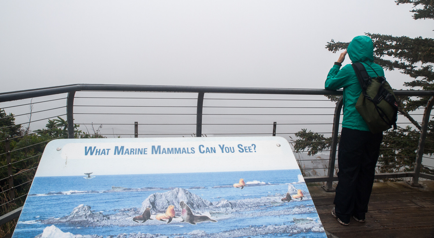 Seattle to San Francisco cycle tour, photo 128|320