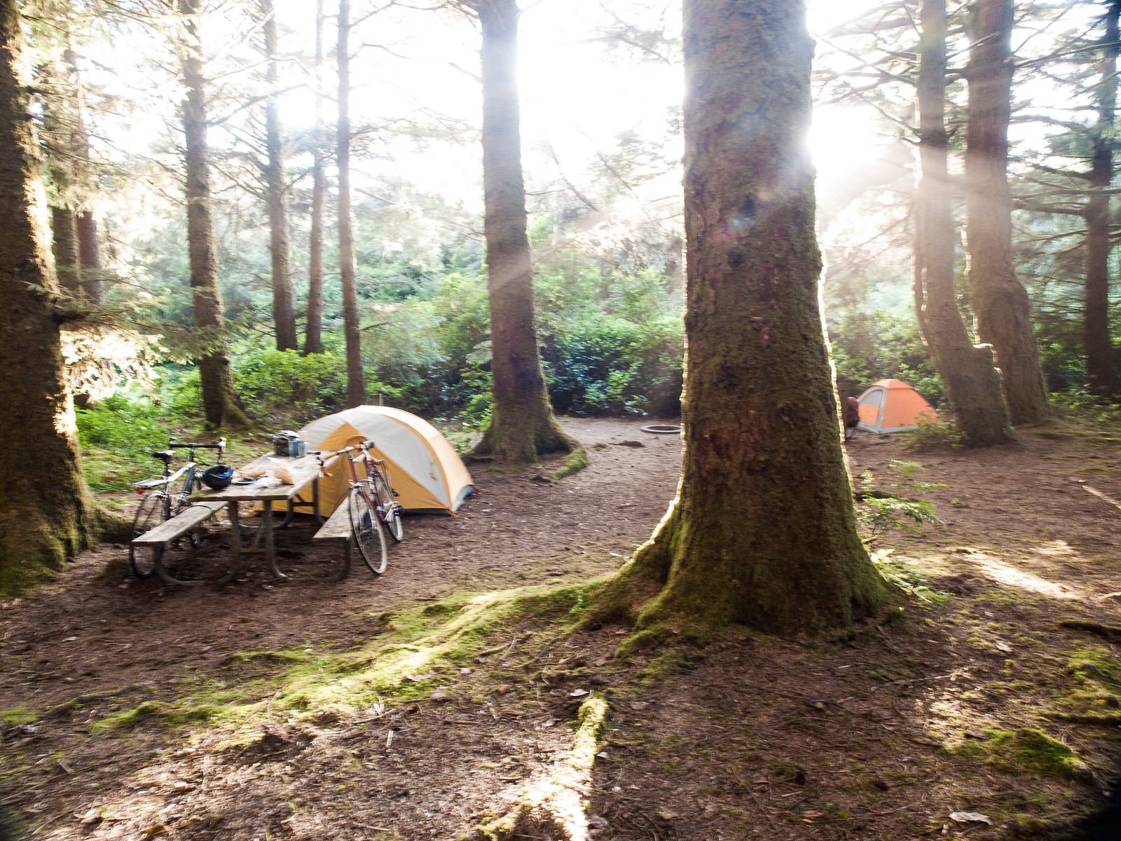 Seattle to San Francisco cycle tour, photo 116|320
